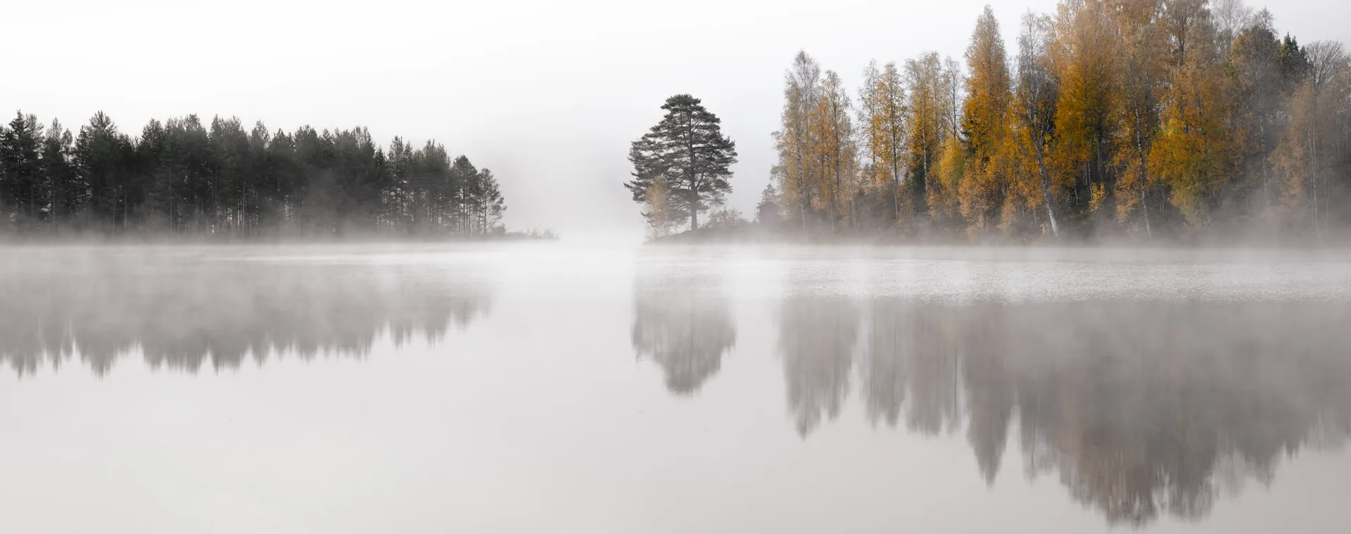 A misty lake with autumn trees.
