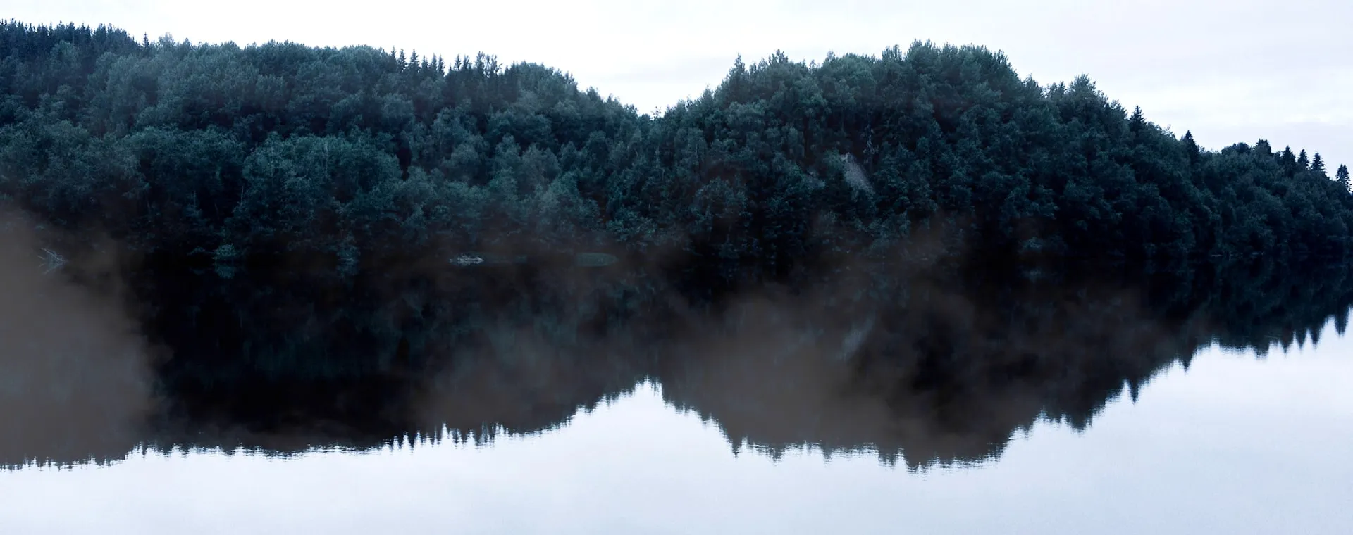 A watercourse surrounded by forest.