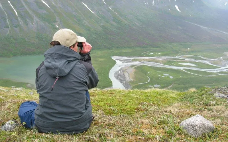 A person with binoculars looking out over a mountain valley with a braided river.